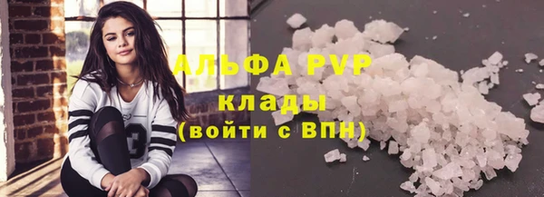 гидра Алексин