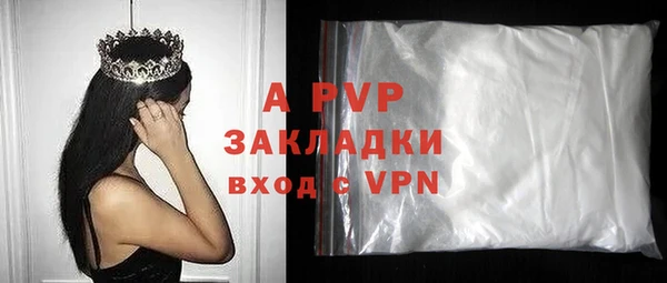гидра Алексин