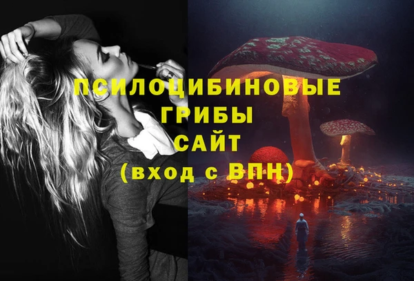 твердый Алзамай