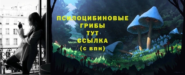 твердый Алзамай