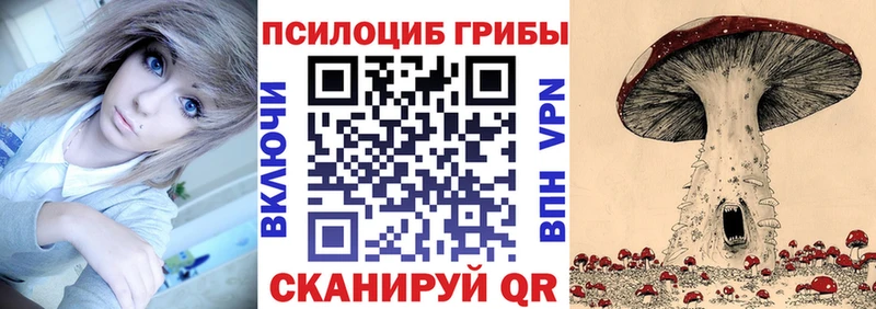 где купить наркотик  Ишимбай  Галлюциногенные грибы Psilocybe 